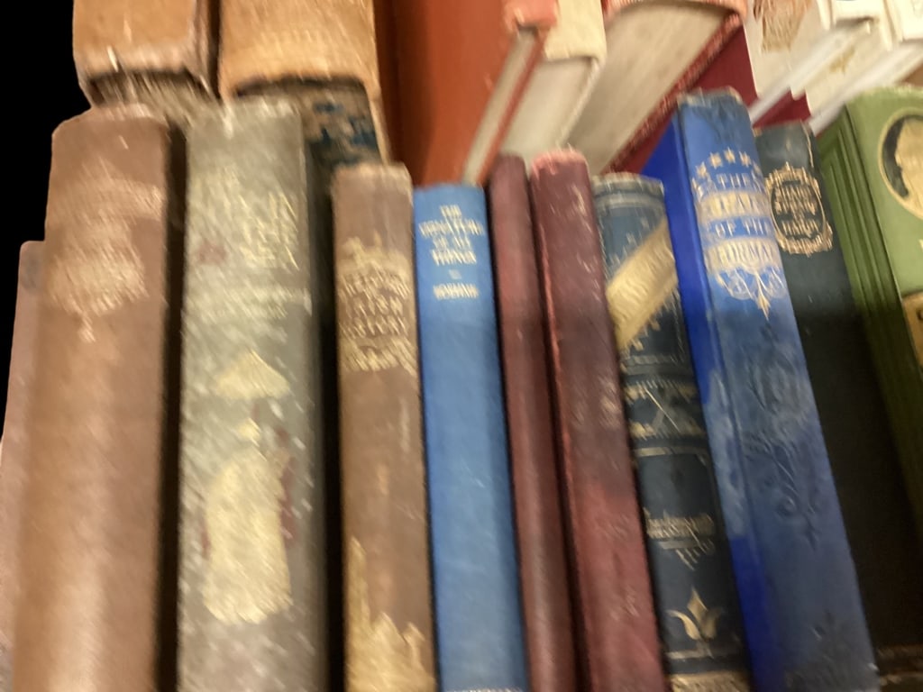 Collection of Varied Genre Books (1 of 5)