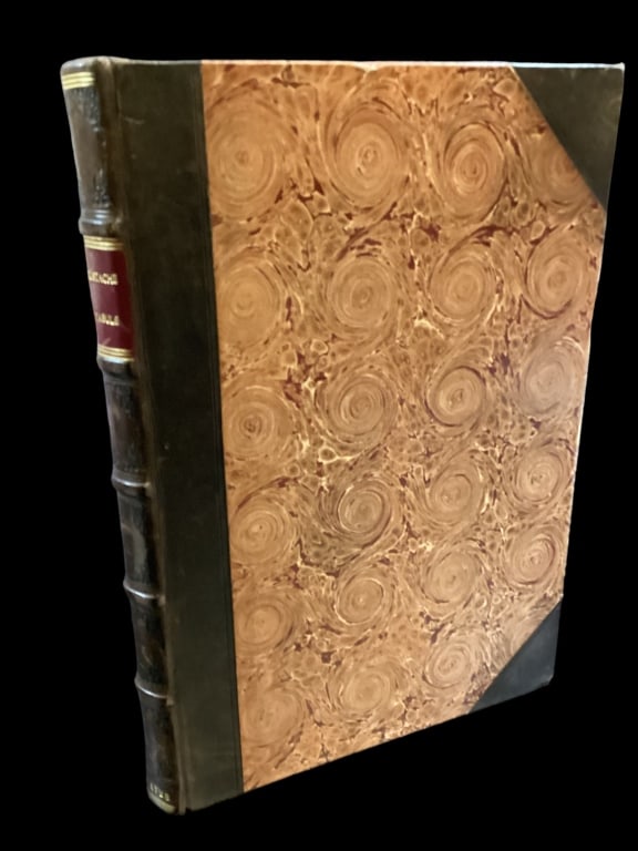 Early Renaissance Anatomical Study (1 of 11)