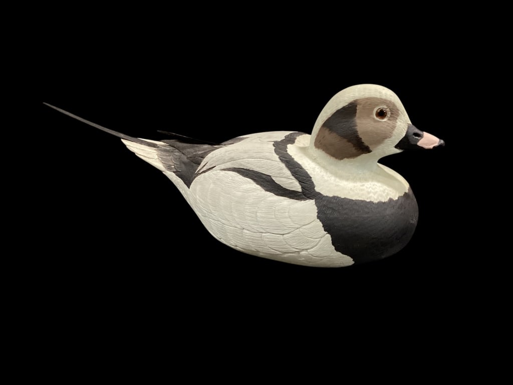 Don Walters Hand Crafted Decoy: Old Squaw Drake Decoy, 16.5 inches long, crossed tail feathers, glass eyes, long tail, great details to body. Signed at base and dated 1979 Line Item # 184