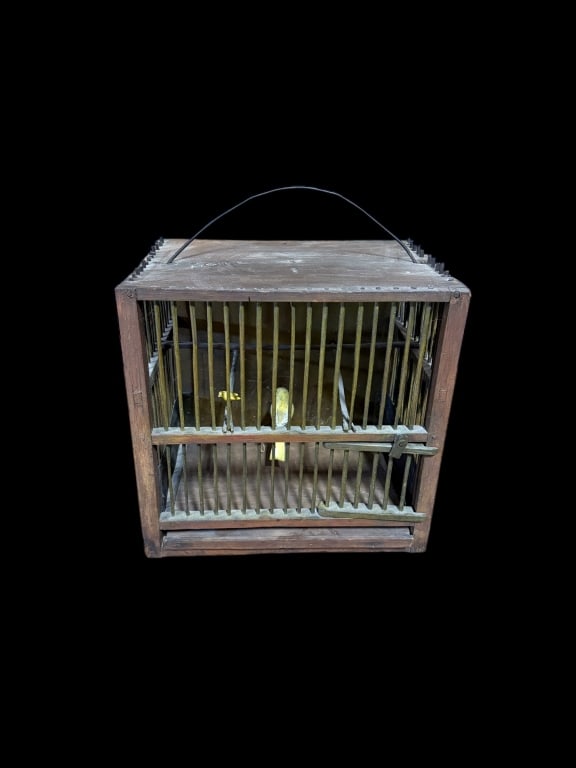Primitive Bird Cage w Carved Wooden Birds (1 of 6)