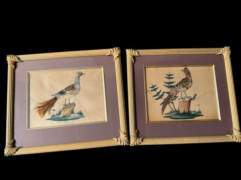 2 German Feather-Bird Watercolors (1 of 5)