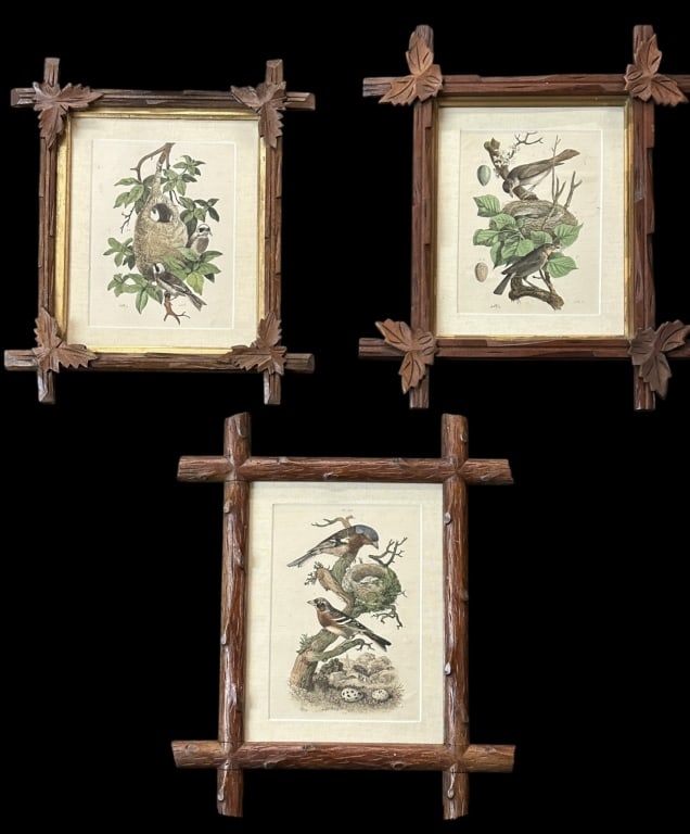 Three Framed Bird Nest and Egg Prints (1 of 8)