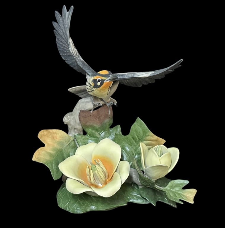 Boehm Blackburnian Warbler (1 of 7)