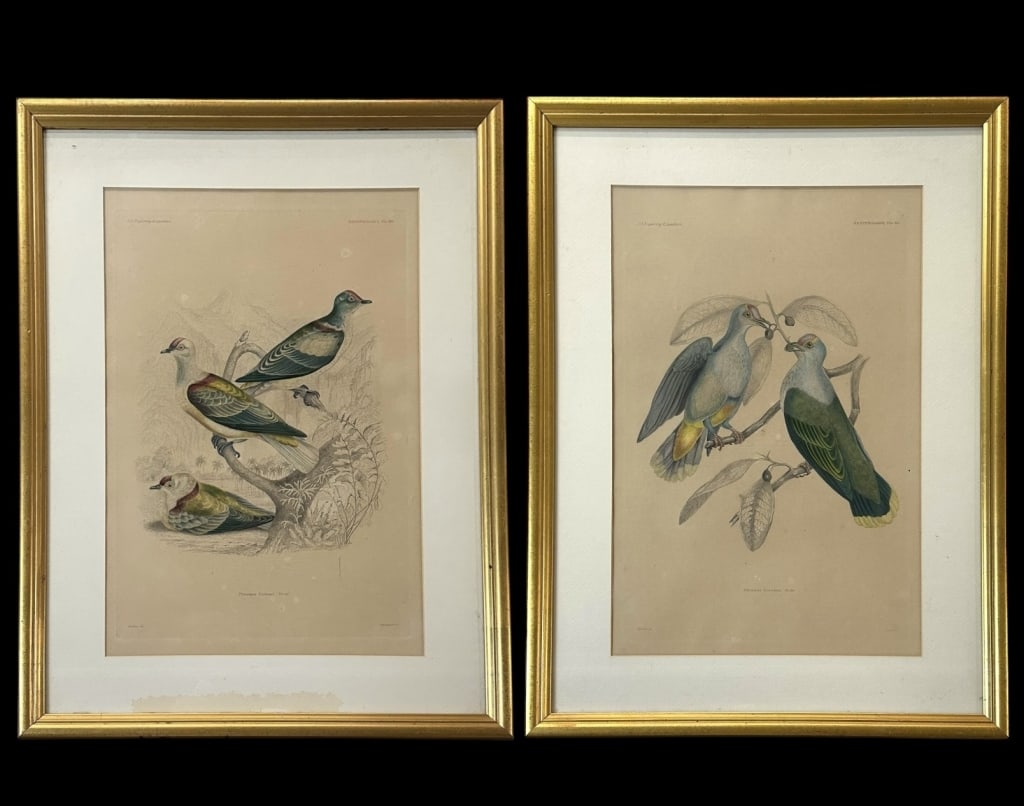Pair Ornithology Engravings, after T. R. Peale (1 of 7)