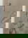 item-209385998=7