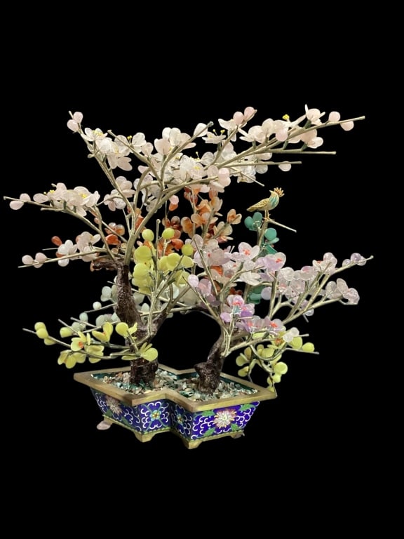 Chinese Ming Tree (1 of 5)