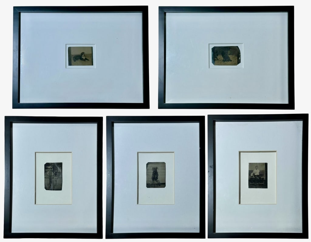 Five Early Photographs of Children and Dogs (1 of 6)