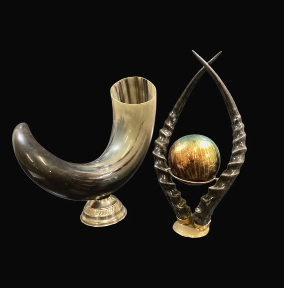 Horn Vase, Horn Sculpture (1 of 7)