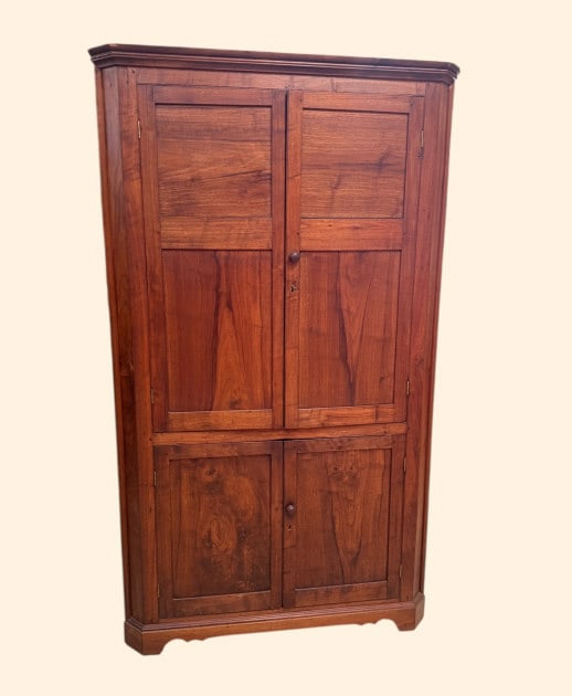 Chippendale Walnut NC Corner Cabinet (1 of 4)