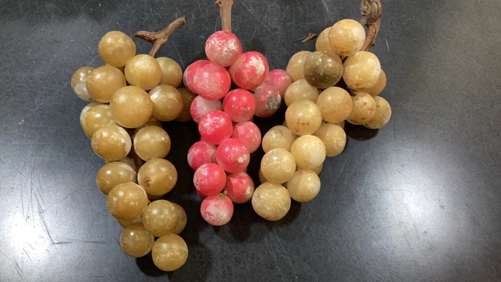 Stone Grape Clusters - 3