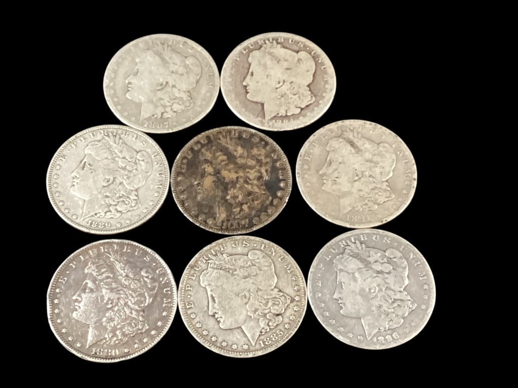 Eight Morgan Silver Dollars - 2