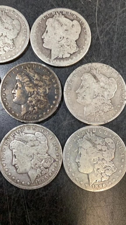 Eight Morgan Silver Dollars - 3