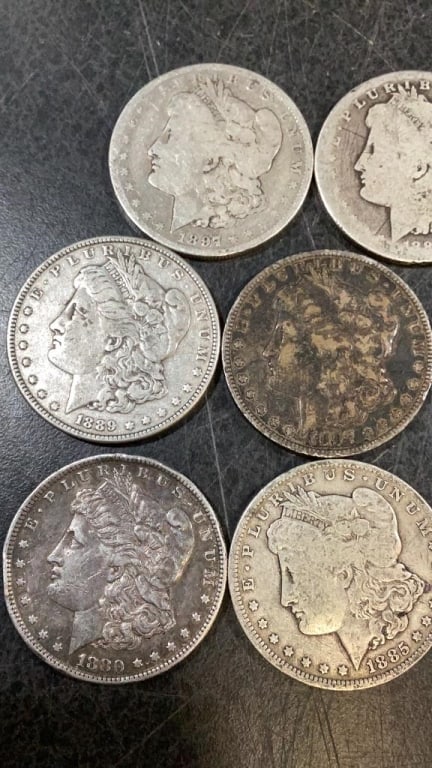 Eight Morgan Silver Dollars - 4
