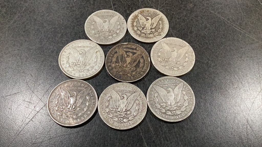 Eight Morgan Silver Dollars - 5