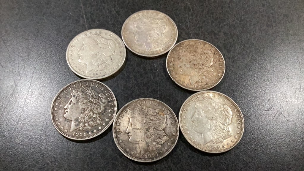 Eight Morgan Silver Dollars - 4