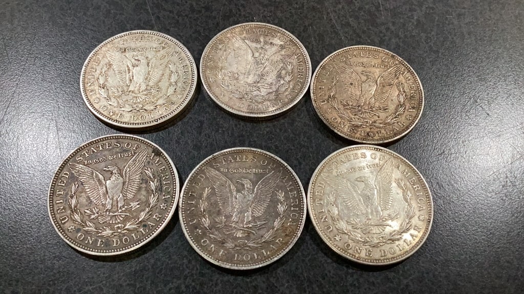 Eight Morgan Silver Dollars - 5