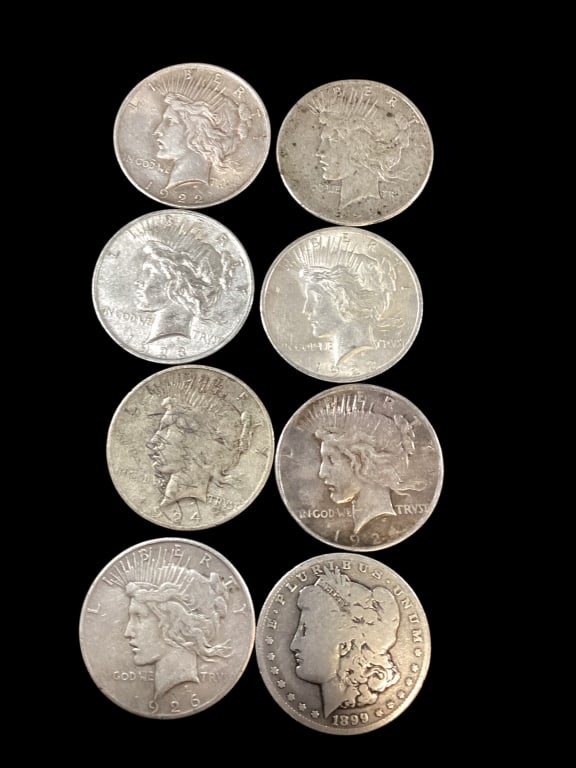 Peace and Morgan Silver Dollars: 7 Peace Coins, circulated and wear, dates 1922,23,24,26. And one Morgan silver dollar dated 1899 - ()