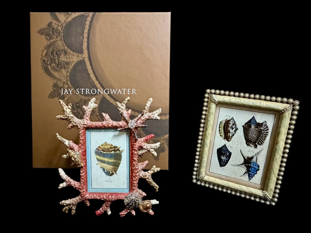Two Jay Strongwater Frames - 6