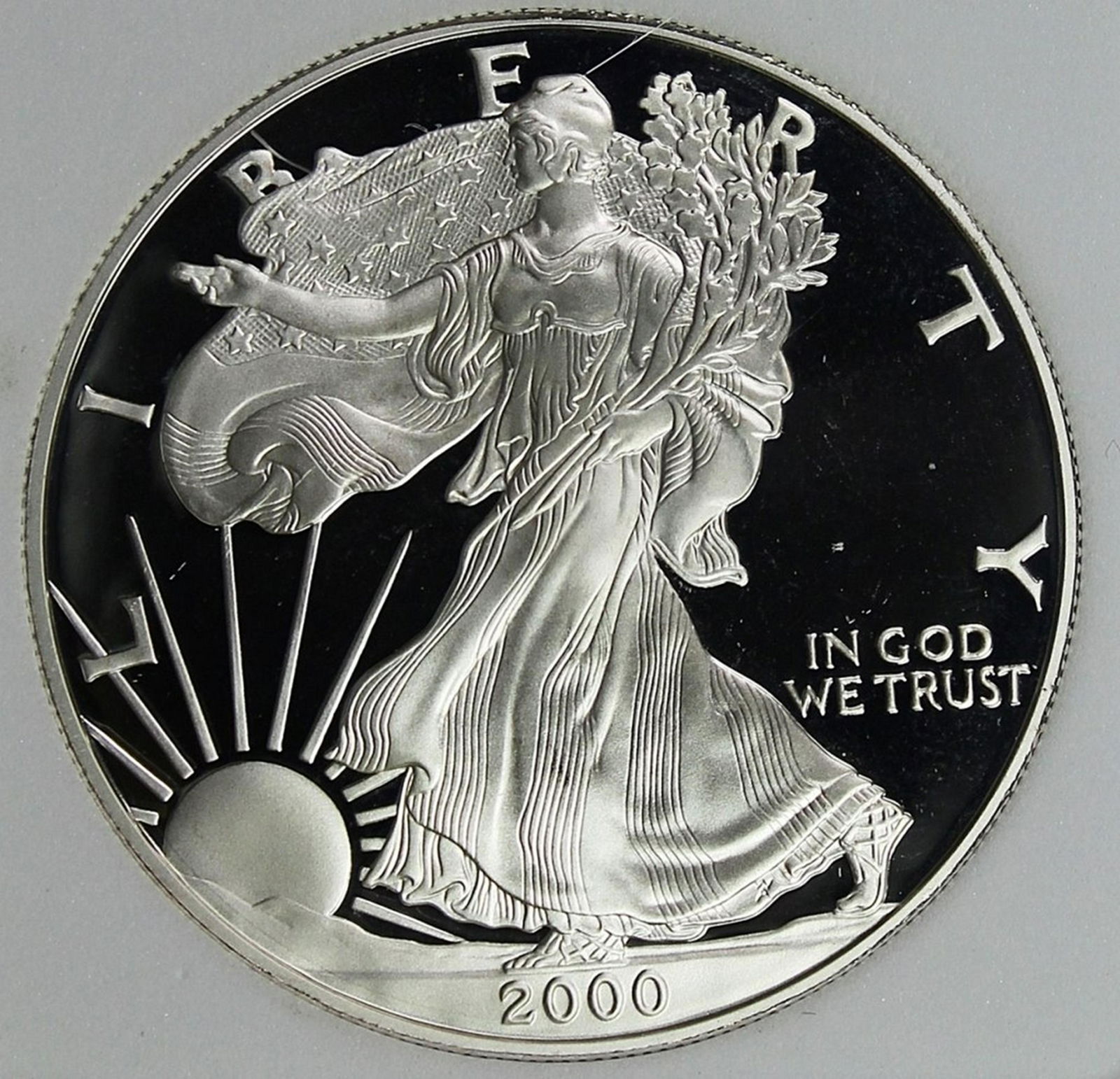 2000 AMERICAN SILVER EAGLE (1 of 3)