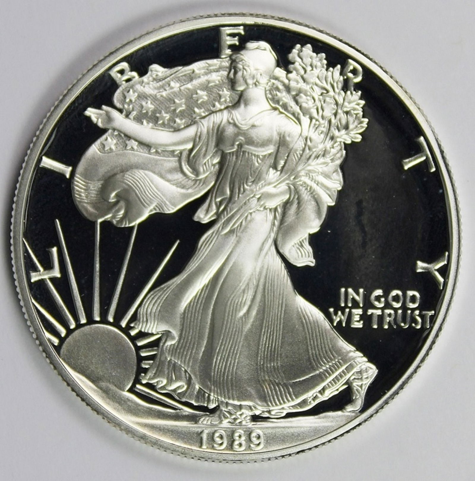 1989 AMERICAN SILVER EAGLE (1 of 4)