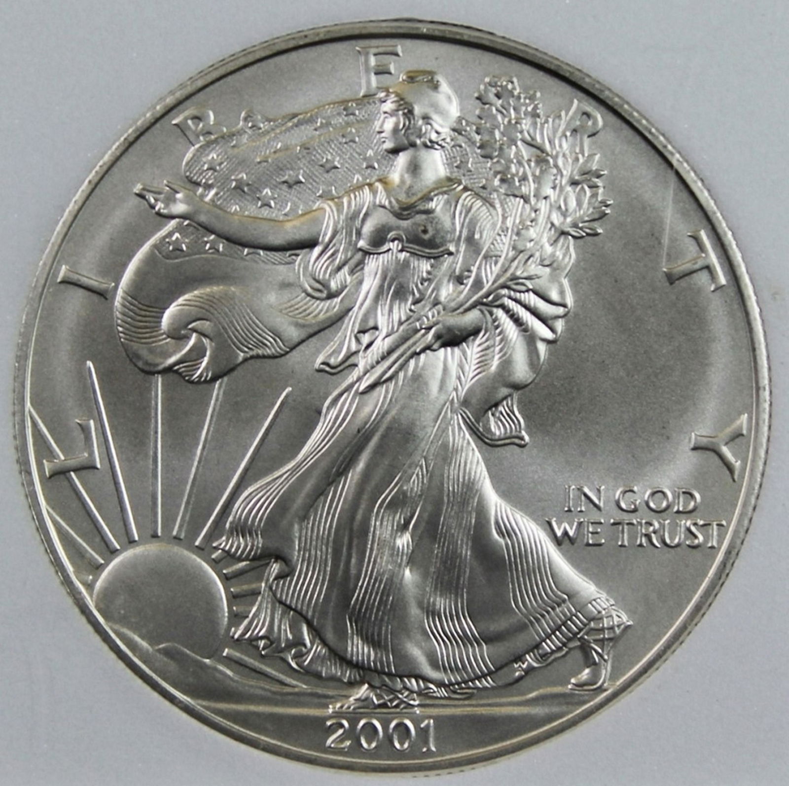 2001 AMERICAN SILVER EAGLE (1 of 4)