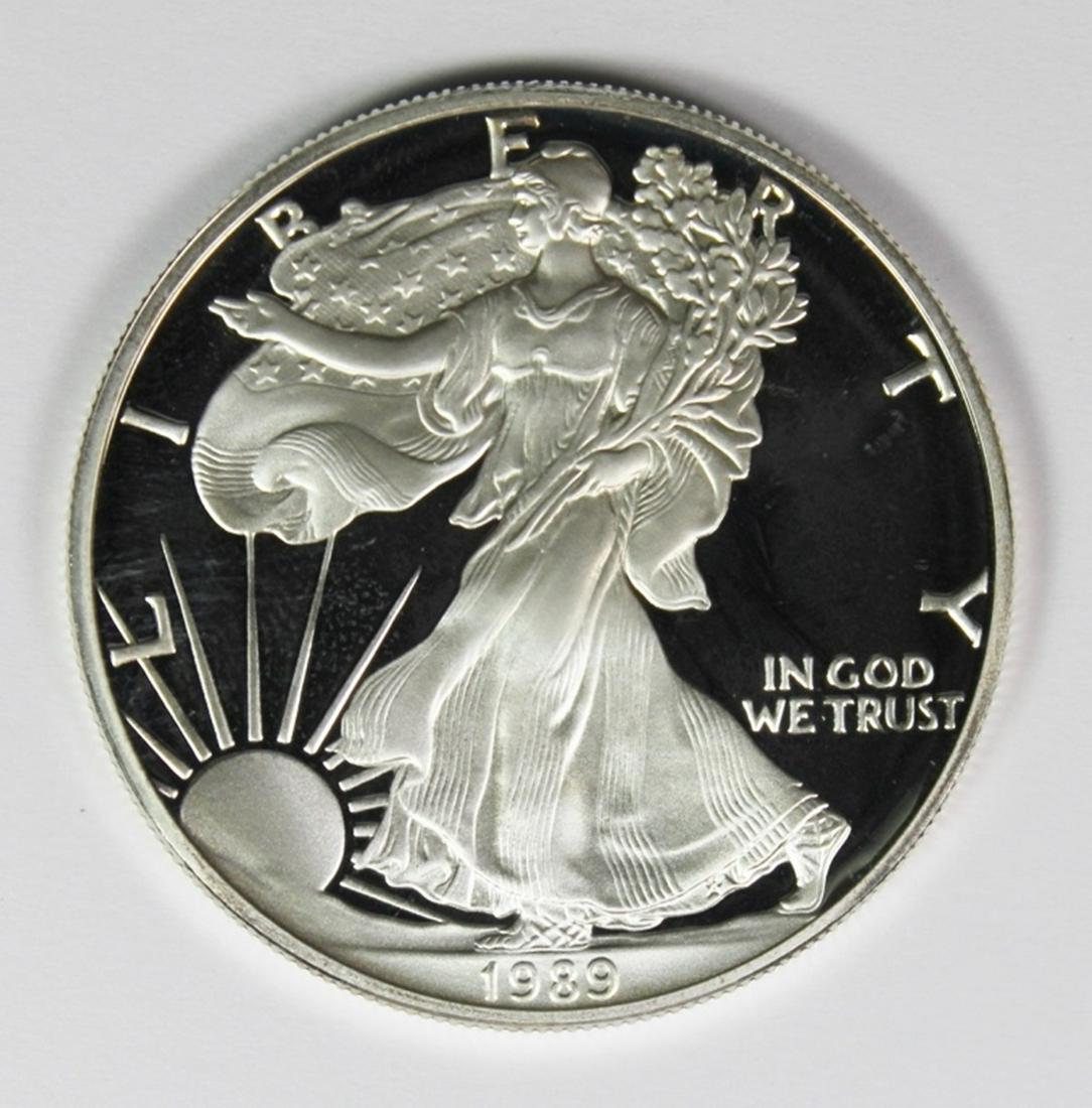 1989 AMERICAN SILVER EAGLE (1 of 6)