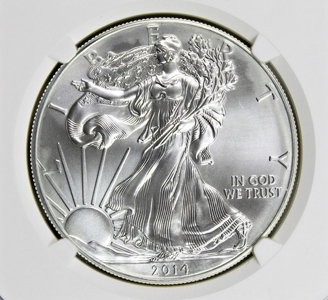 2014-W AMERICAN SILVER EAGLE (1 of 4)