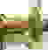 item-79118178=6