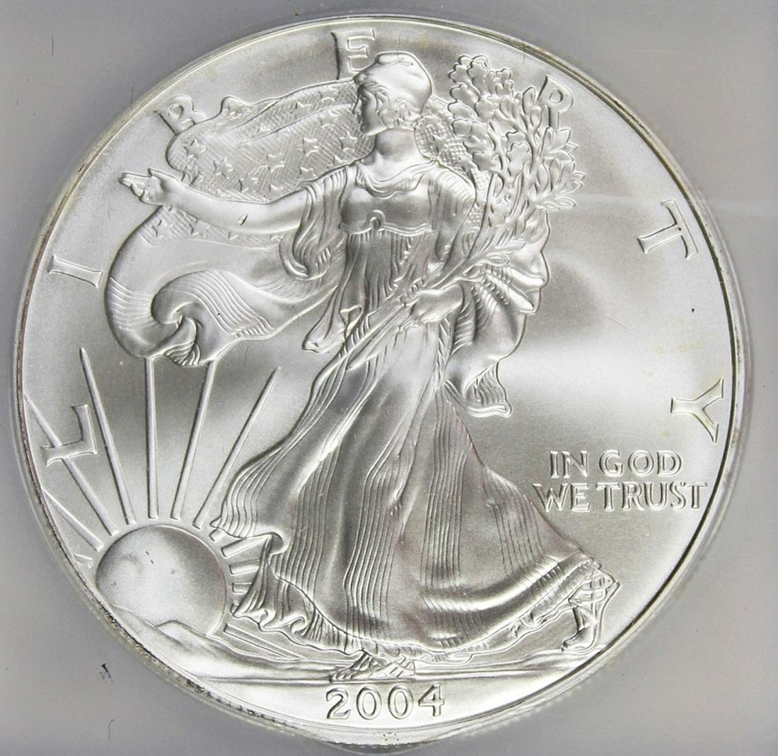 2004 AMERICAN SILVER EAGLE (1 of 4)