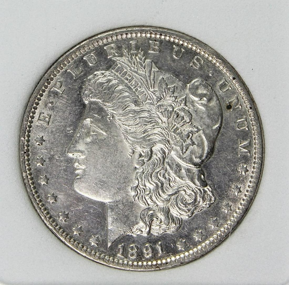 1891 MORGAN DOLLAR (1 of 4)
