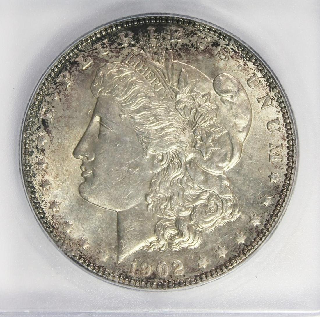 1902 MORGAN DOLLAR (1 of 4)