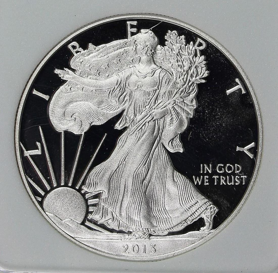 2013 AMERICAN SILVER EAGLE (1 of 4)