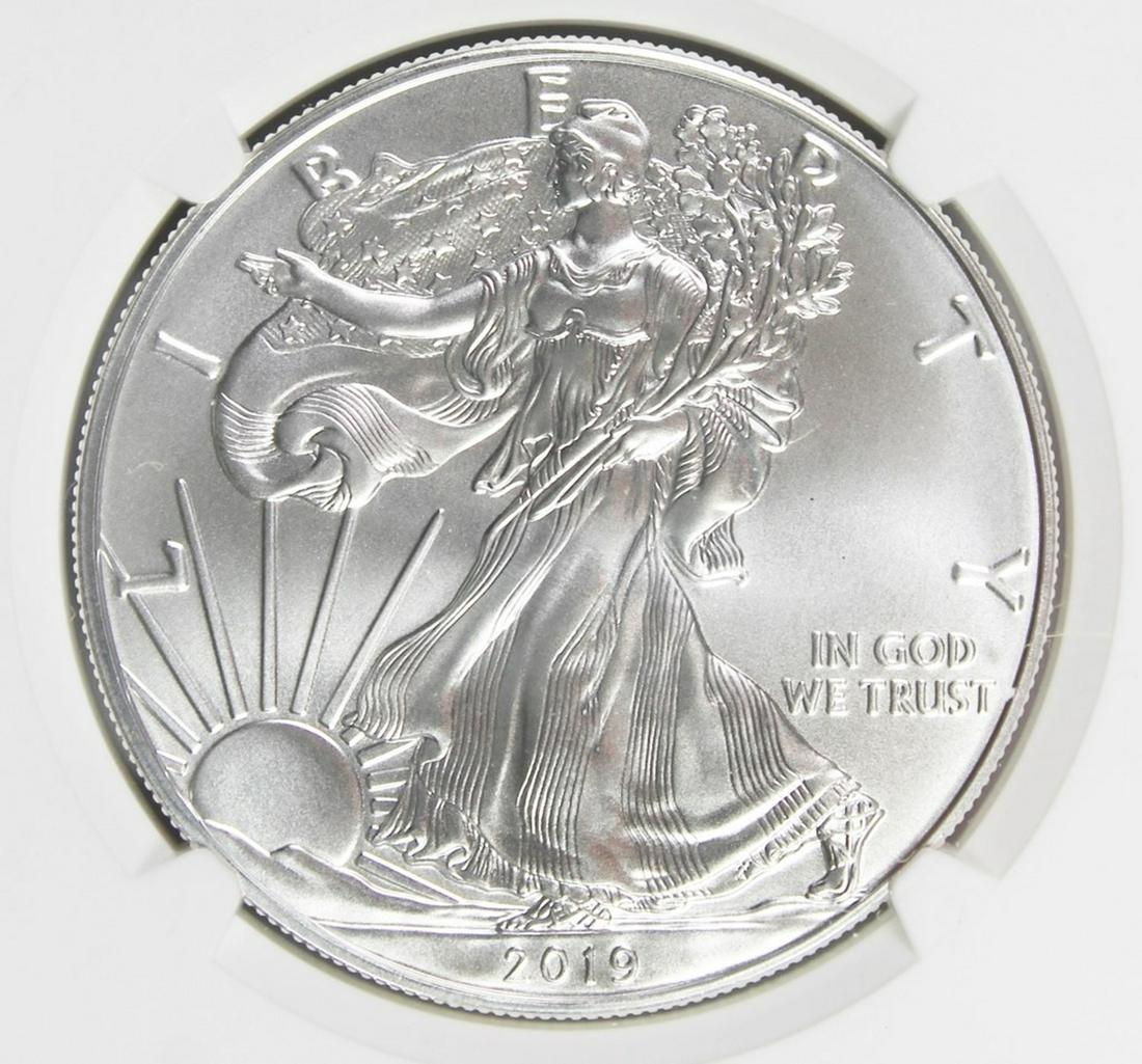 2019 AMERICAN SILVER EAGLE (1 of 4)