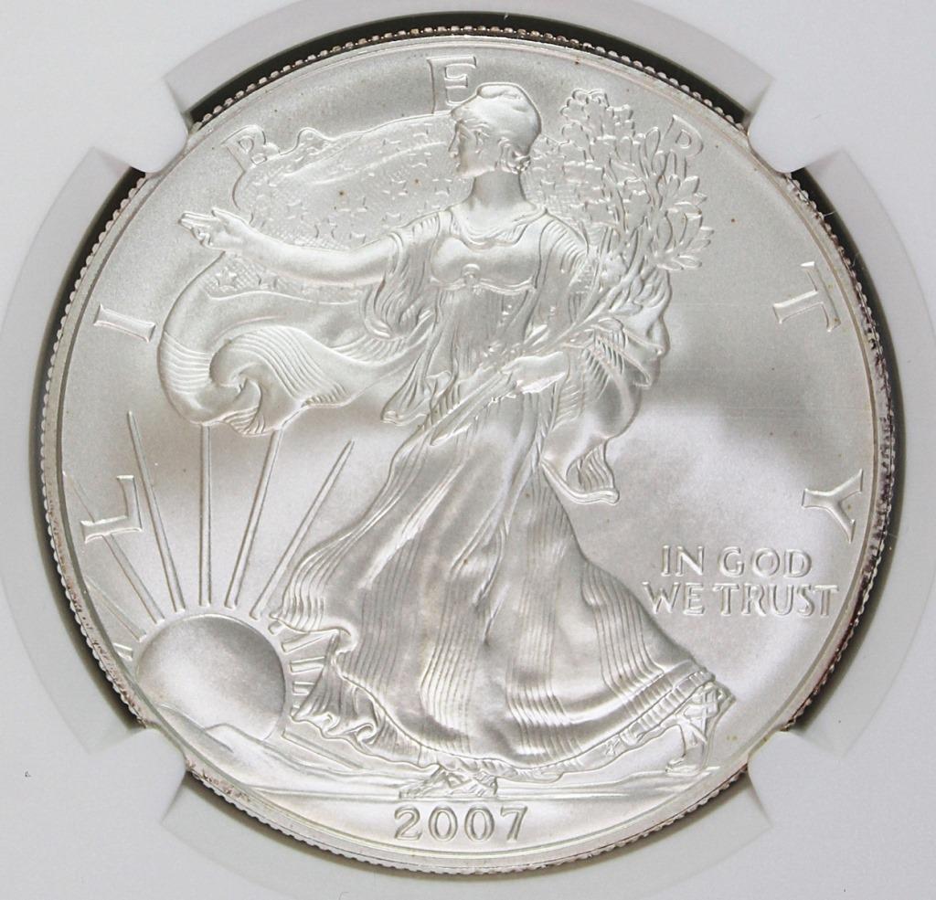 2007-W BURNISHED AMERICAN SILVER EAGLE (1 of 4)