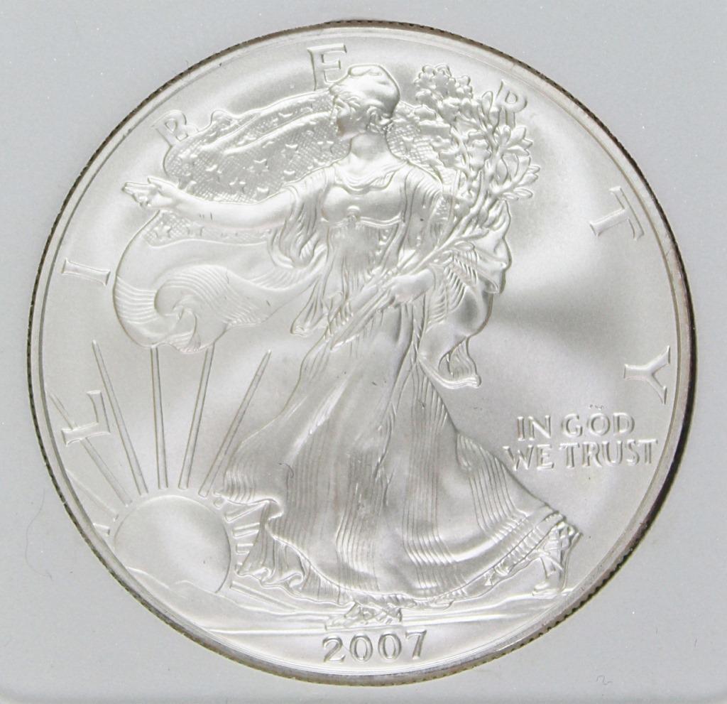 2007-W BURNISHED AMERICAN SILVER EAGLE (1 of 4)