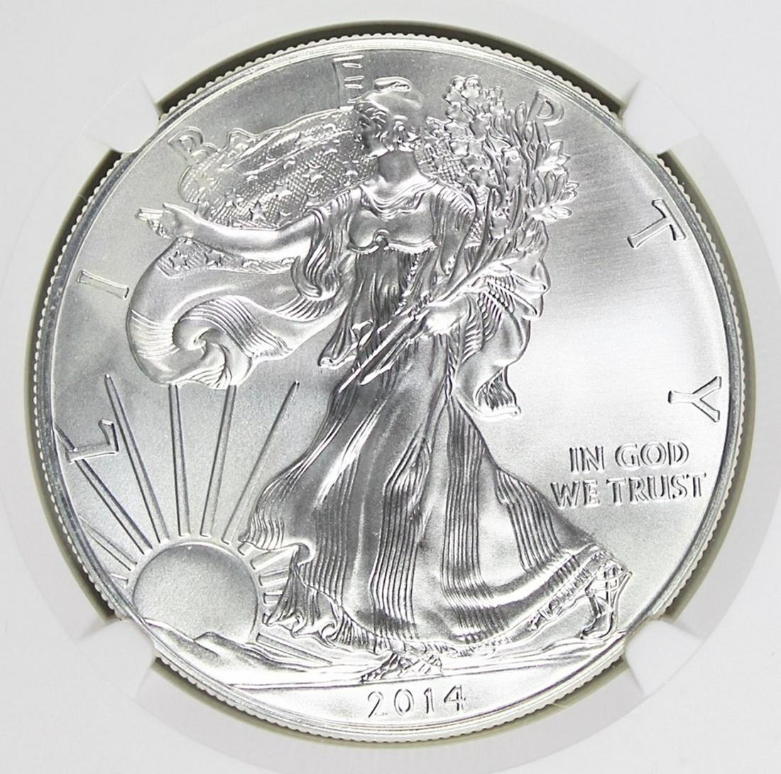 2014 (W) AMERICAN SILVER EAGLE (1 of 4)