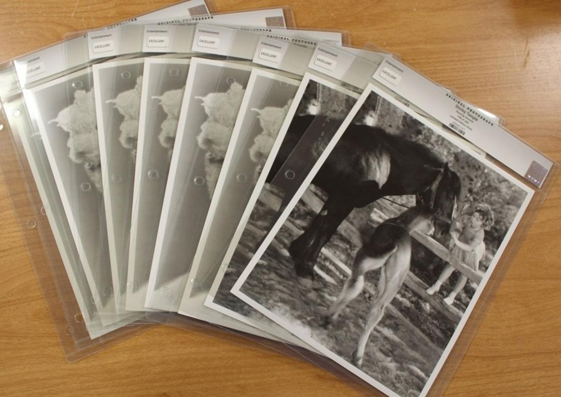 (8) SHIRLEY TEMPLE PHOTOS (1 of 3)