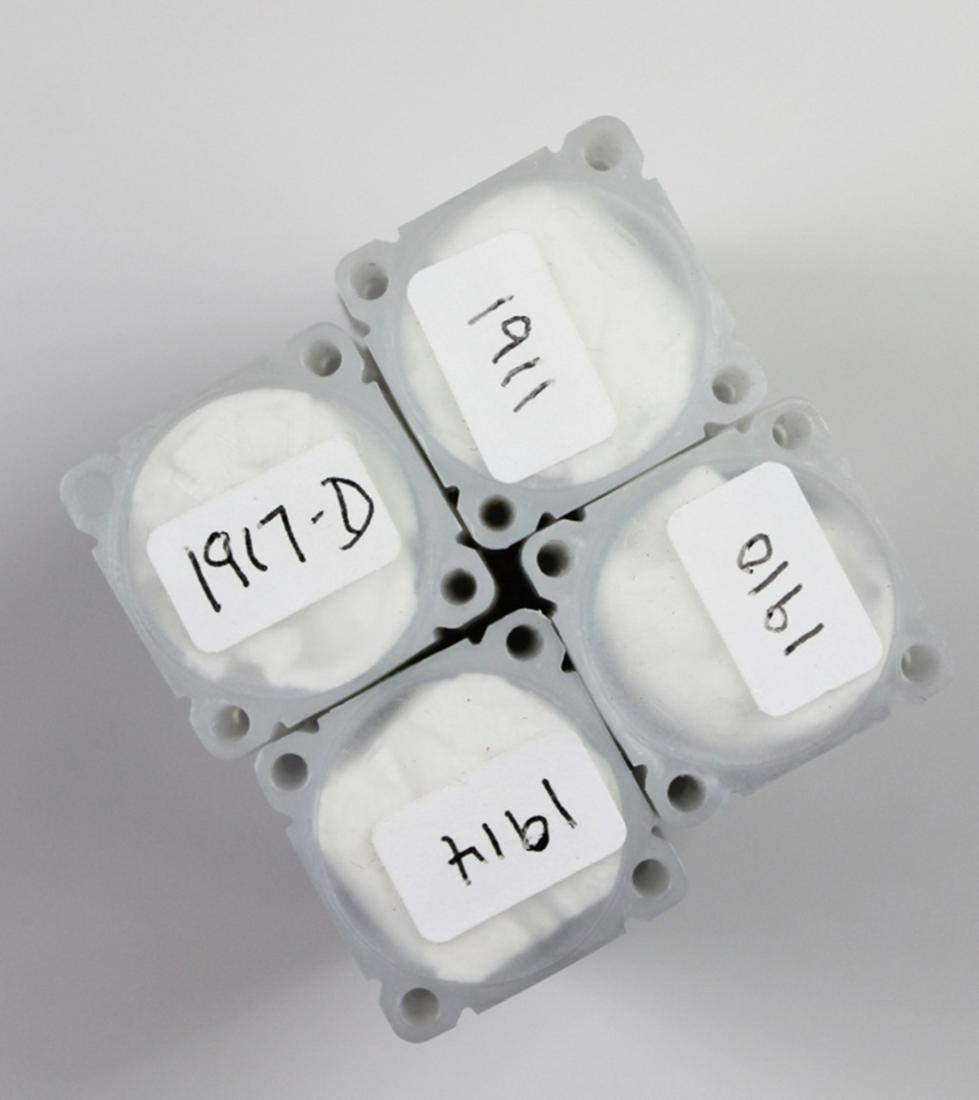 NICE CULL FREE LINCOLN CENT ROLLS (1 of 2)