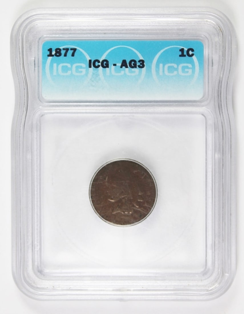 1877 INDIAN HEAD CENT (1 of 3)