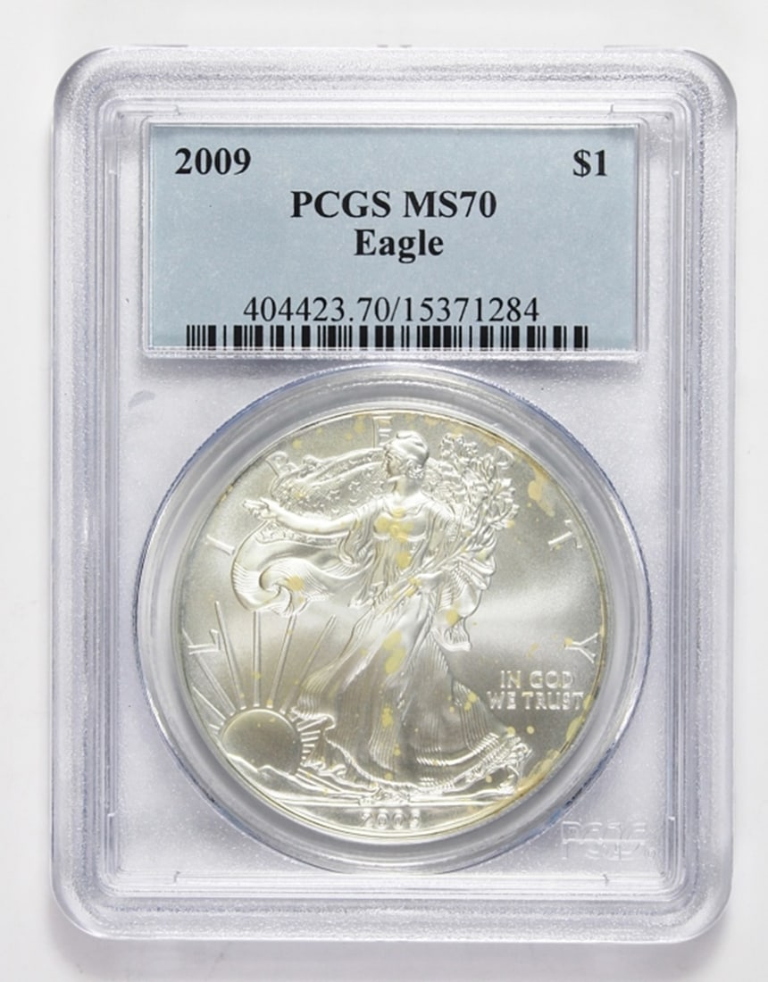 2009 AMERICAN SILVER EAGLE (1 of 2)