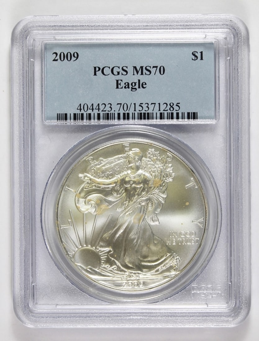 2009 AMERICAN SILVER EAGLE (1 of 2)