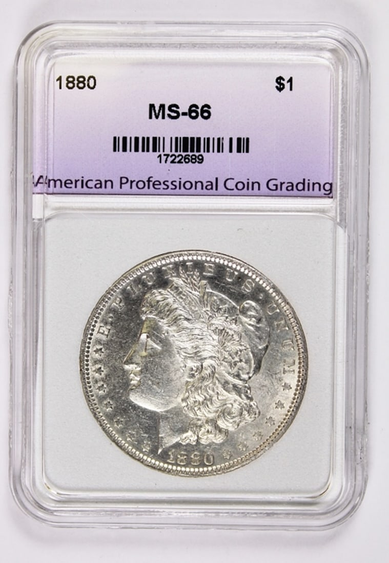 1880 MORGAN SILVER DOLLAR (1 of 2)