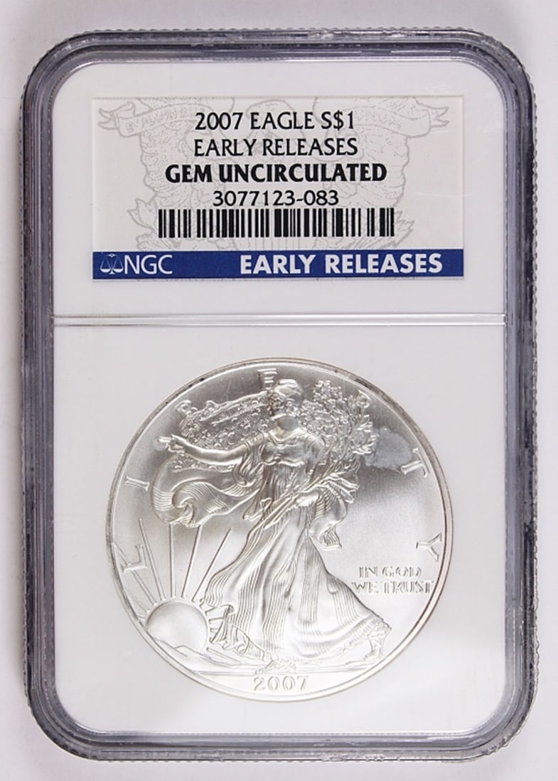 2007 AMERICAN SILVER EAGLE (1 of 2)