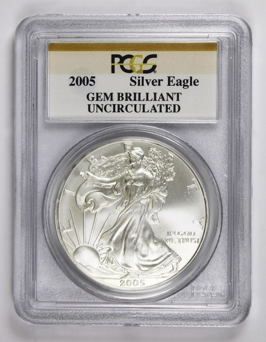 2005 AMERICAN SILVER EAGLE (1 of 2)