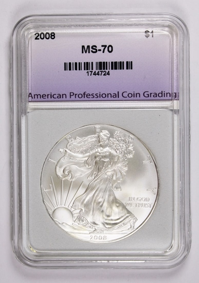 2008 AMERICAN SILVER EAGLE (1 of 2)