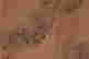 item-100957355=2