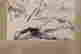 item-100957368=5