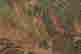 item-100957467=10