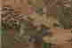item-100957467=11