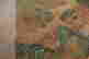 item-100957467=13